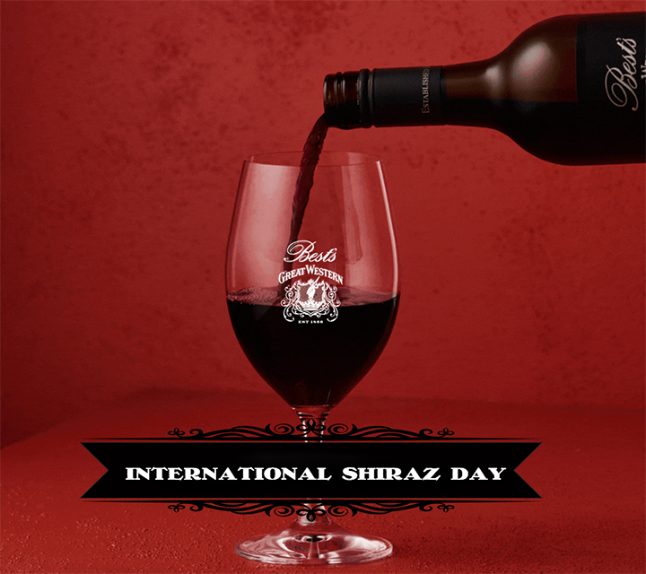 Shiraz Day Pop Up x Trackside - Stawell Harness Racing Club