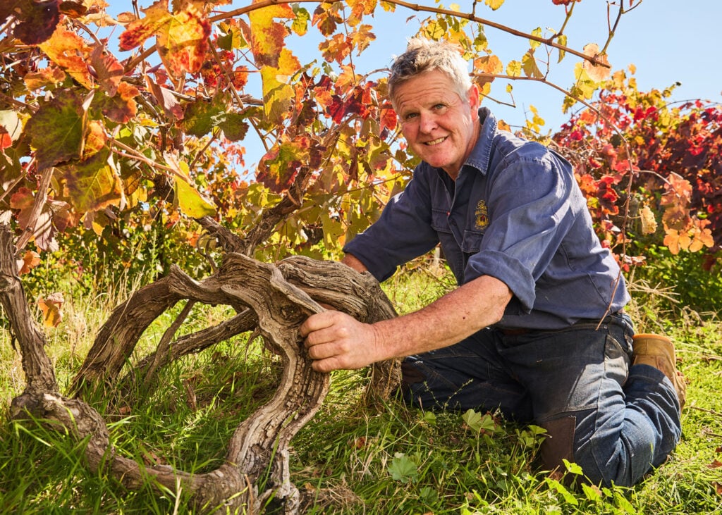 Ben Thomson amongst the vines