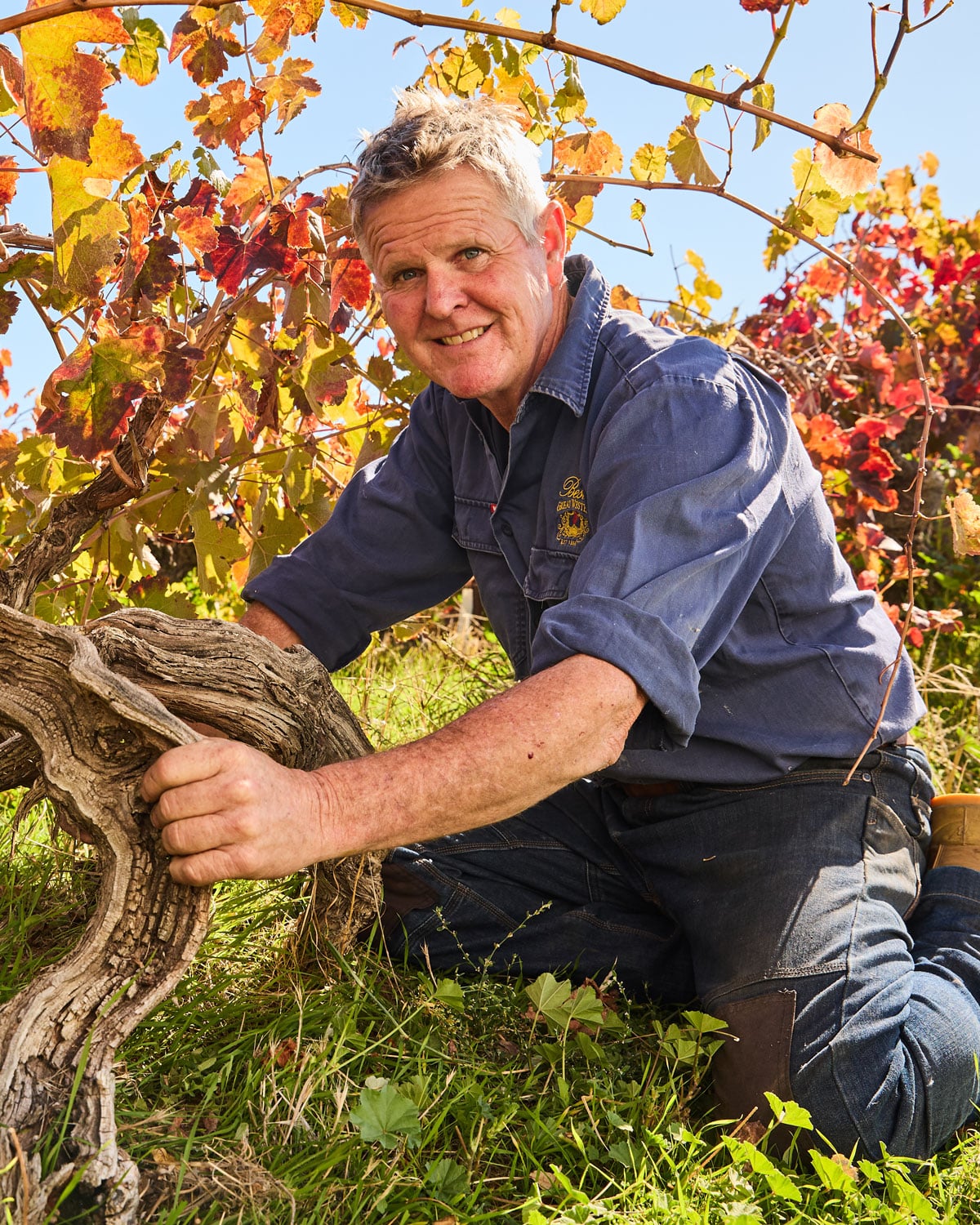 Ben Thomson amongst the vines